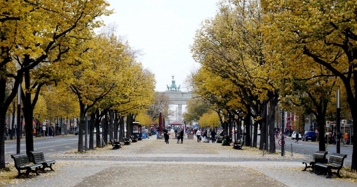 Унтер-ден-Линден — бульвар, получивший своё название благодаря украшающим его липам